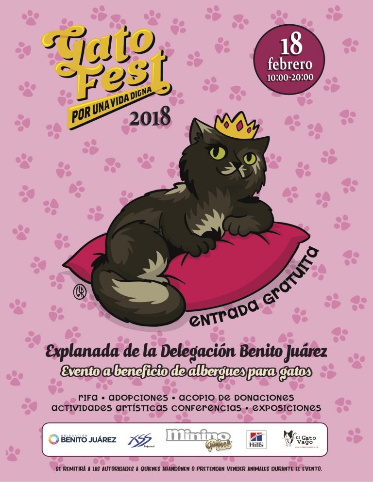 Gato Fest, el evento más grande de México dedicado a los mininos el 18 de febrero Sitquije