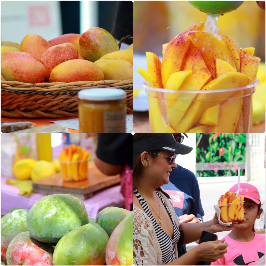 Todos Santos celebra la 12ª edición del Festival del Mango Sitquije