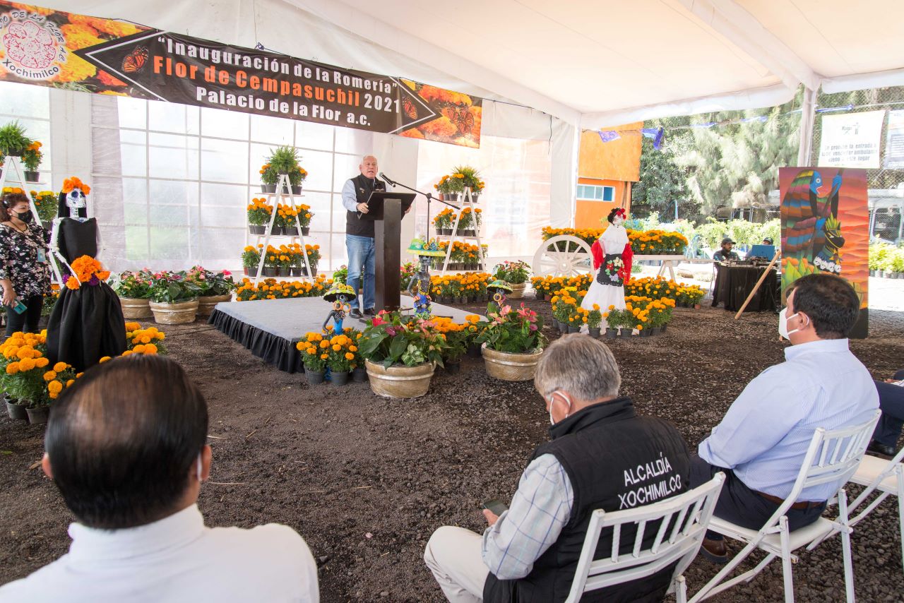 Arranca temporada de flor de cempasúchil en Ciudad de México | Sitquije