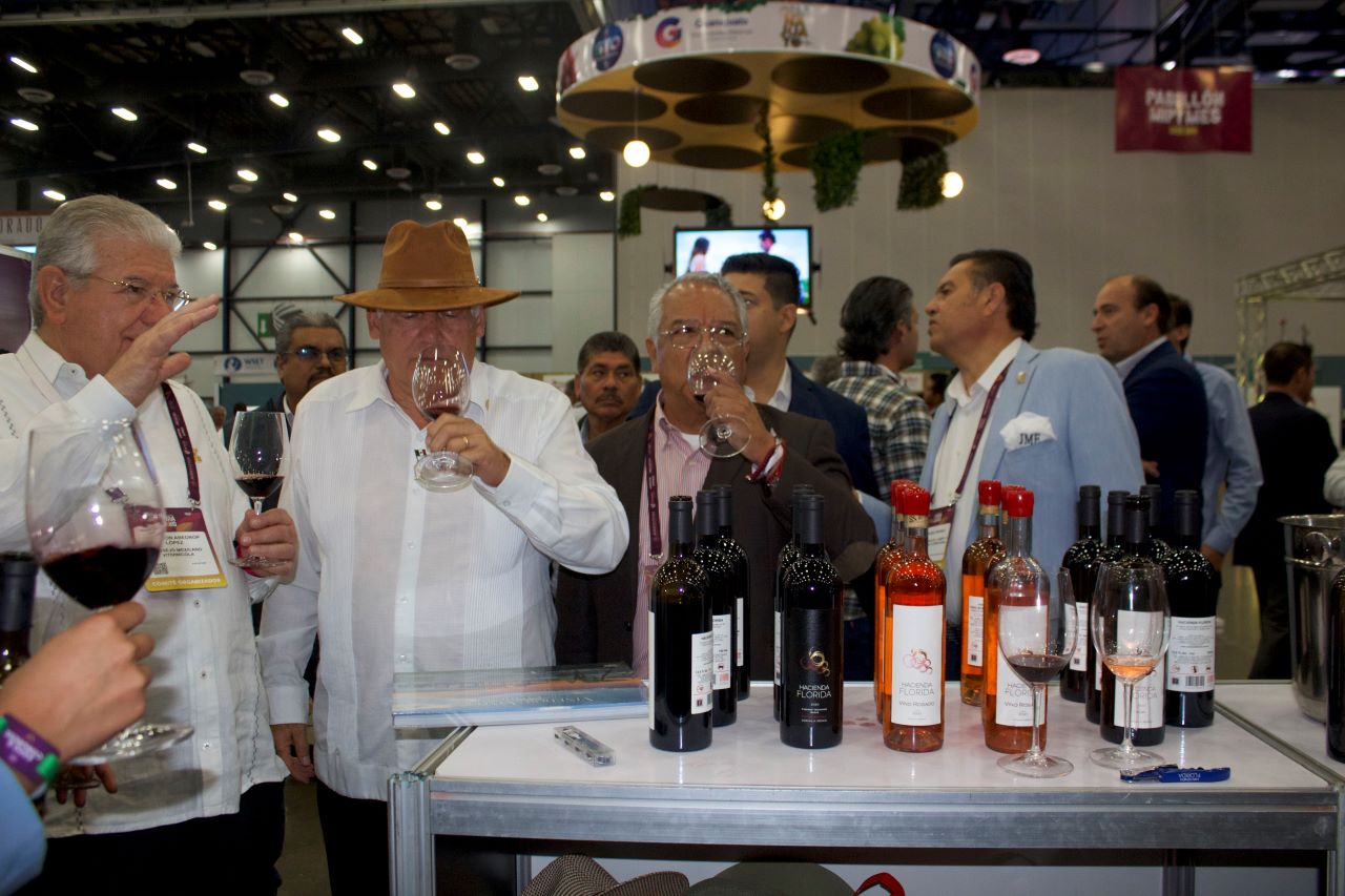 México tiene gran potencial de viticultura en el mercado mundial para los  siguientes años | Sitquije